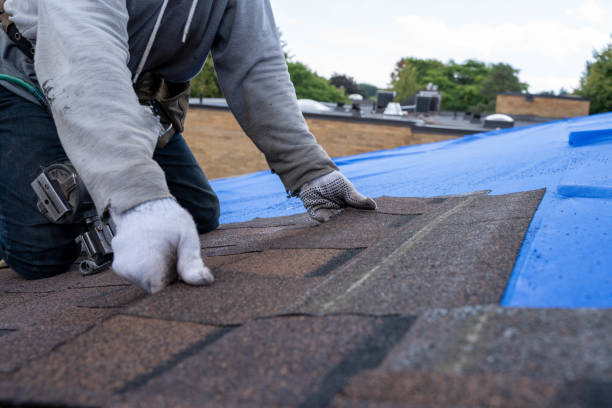 Best Metal Roofing Contractor  in Shreve, OH
